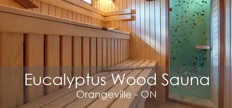 Eucalyptus Wood Sauna Orangeville - ON