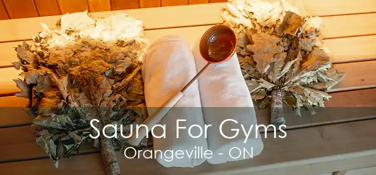 Sauna For Gyms Orangeville - ON